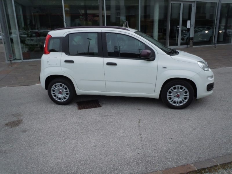 FIAT PANDA 1.0 MILD HYBRID CITY Immagine 5