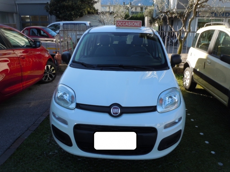 FIAT PANDA 1.2 Immagine 2